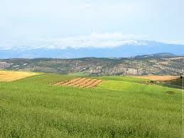 Iparraldekoa - Andalousie